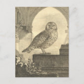 Spooky  Halloween Owl Briefkaarten (Voorkant)