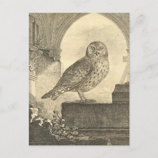 Spooky  Halloween Owl Briefkaarten (Voorkant)