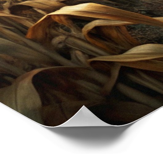 Spooky Halloween Poster (Hoek)