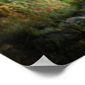 Spooky Halloween Scarecrow Poster (Hoek)