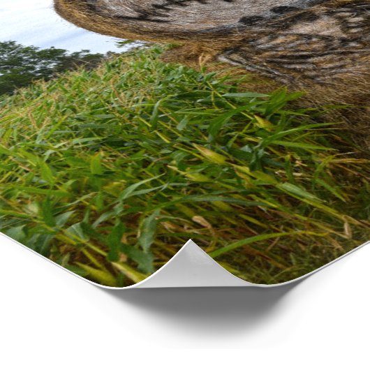 Spooky Hay Bale Poster (Hoek)