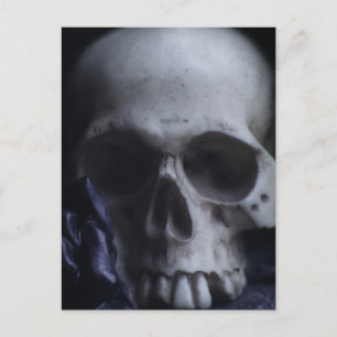 Spooky Human Skull Grim Black White Photography Briefkaart