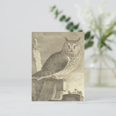 Spooky  Lange Owl Halloween Briefkaart (Staand voorkant)