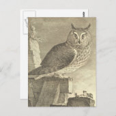 Spooky  Lange Owl Halloween Briefkaart (Voorkant / Achterkant)