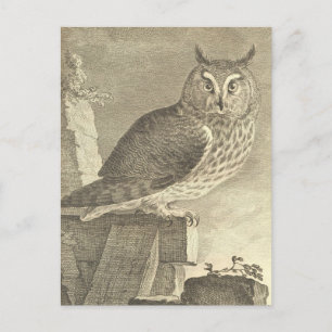 Spooky  Lange Owl Halloween Briefkaart
