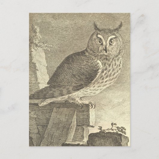 Spooky  Lange Owl Halloween Briefkaart (Voorkant)