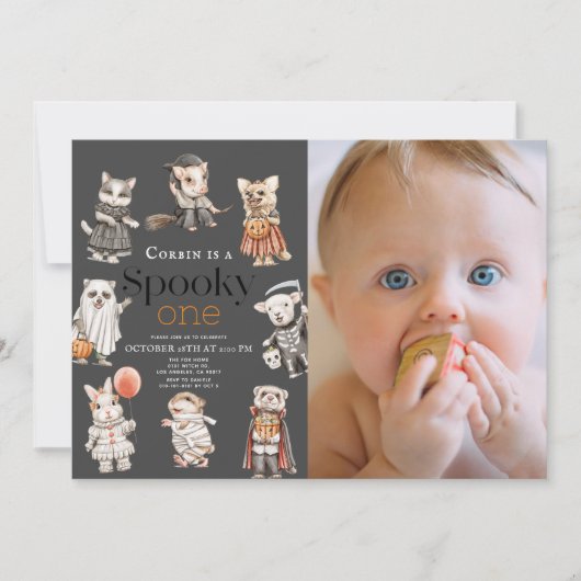 Spooky One Halloween Animals 1st Birthday Foto Kaart (Voorkant)
