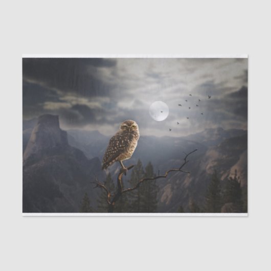 Spooky Owl en Full Moon Halloween Tissuepapier (Voorkant)