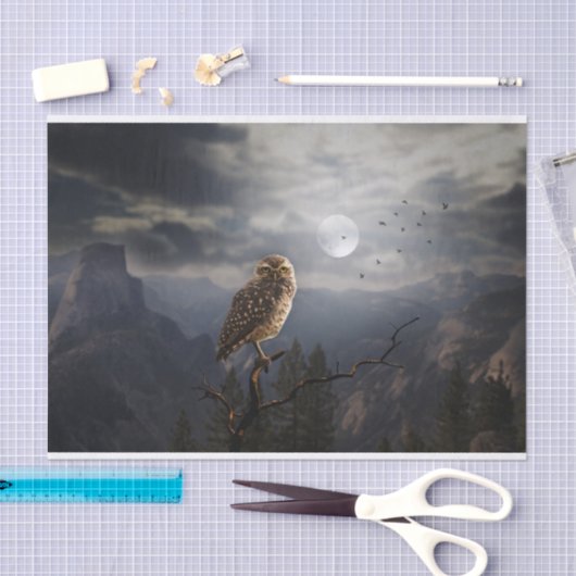 Spooky Owl en Full Moon Halloween Tissuepapier (Craft)