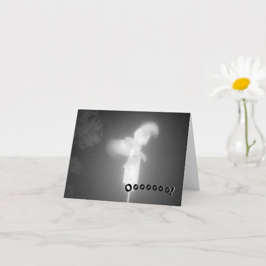 Spooky Owl Halloween Kaart (Kleine Plant)