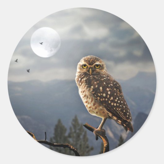 Spooky Owl Moon Graphic Ronde Sticker (Voorkant)