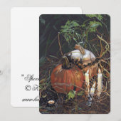 Spooky pumpkins notecard bedankkaart (Voorkant / Achterkant)