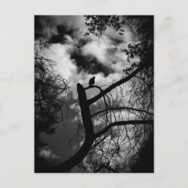 Spooky Raven in Tree Briefkaart