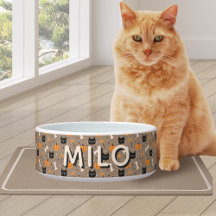 Spooky Schattigee Custom Halloween Pumpkin & Black