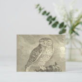 Spooky  Screech Owl Halloween Wenskaart Briefkaart (Staand voorkant)