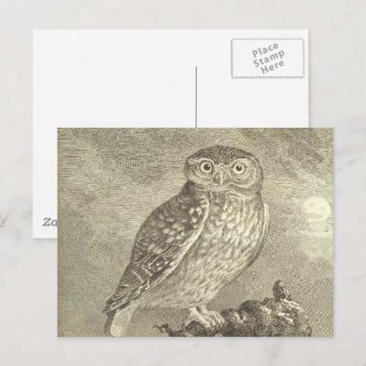 Spooky  Screech Owl Halloween Wenskaart Briefkaart (Voorkant / Achterkant)