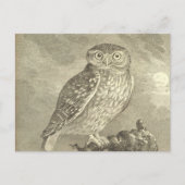Spooky Screech Owl Halloween Wenskaart Briefkaart (Voorkant)