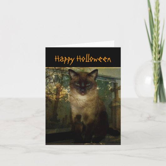 Spooky Siamese Cat Halloween Wenskaart Kaart (Voorkant)
