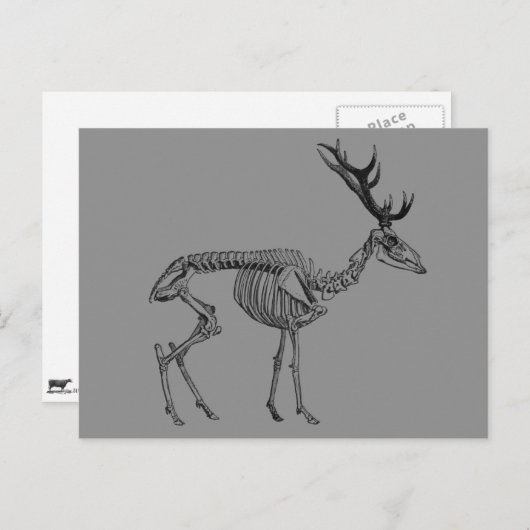 Spooky skelet rendiertekening briefkaart (Voorkant / Achterkant)