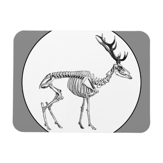 Spooky  skelet rendiertekening magneet (Horizontaal)