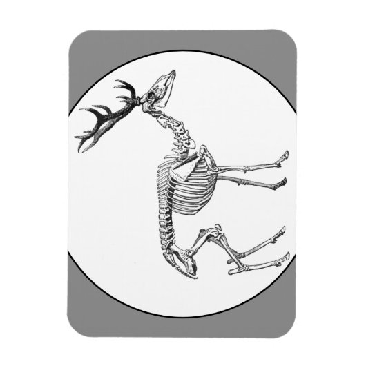 Spooky  skelet rendiertekening magneet (Verticaal)