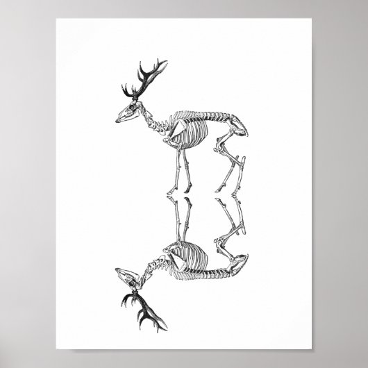 Spooky skelet rendiertekening poster (Voorkant)