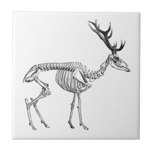 Spooky  skelet rendiertekening tegeltje