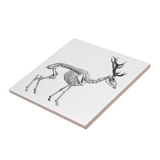 Spooky  skelet rendiertekening tegeltje (Zijkant)