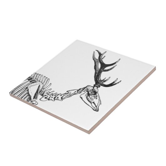 Spooky  skelet rendiertekening tegeltje (Zijkant)