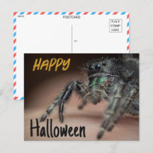 Spooky Spider Halloween Groet