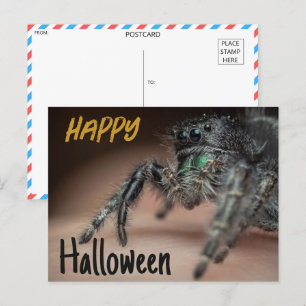 Spooky Spider Halloween Groet Briefkaart