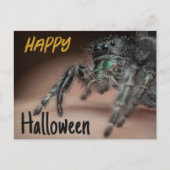 Spooky Spider Halloween Groet Briefkaart (Voorkant)