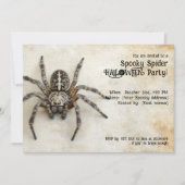Spooky Spider HALLOWEEN Party! Kaart (Voorkant)