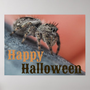 Spooky Spider Halloween Poster