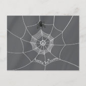 Spooky Spider in Spider Web Briefkaart (Voorkant)