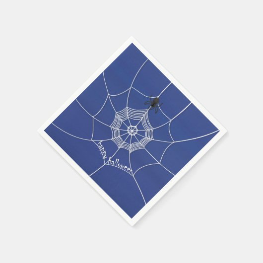 Spooky Spider in Spider Web Servet (Hoek)