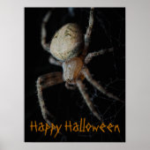 Spooky Spider Web - Halloween Poster (Voorkant)
