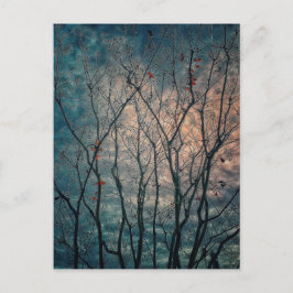 Spooky Trees Briefkaart