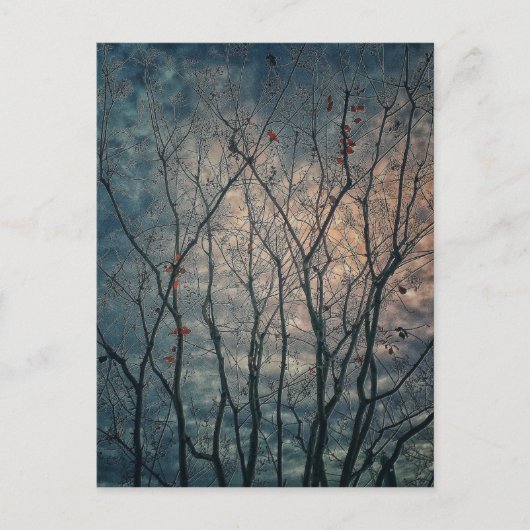 Spooky Trees Briefkaart (Voorkant)