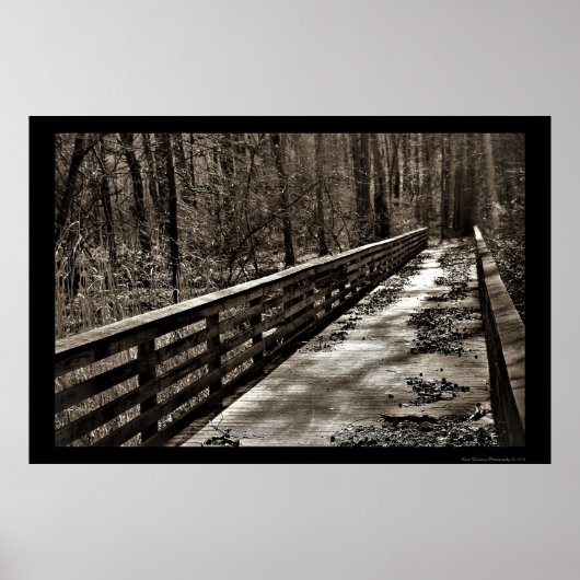 Spooky Wandelbrug Poster (Voorkant)