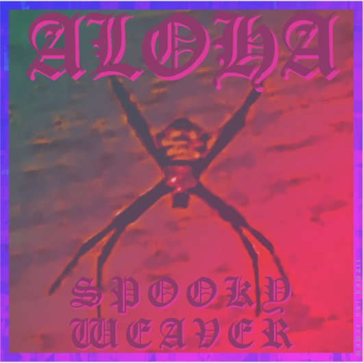 Spooky Weaver (sinaasappel), flexibele foto Sticker (Voorkant)