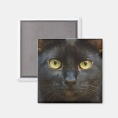 Spookzwarte kat magneet (Voorkant / Achterkant)