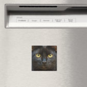Spookzwarte kat magneet (Insitu (Vaatwasser))