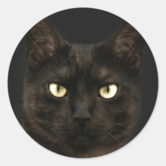 Spookzwarte kat ronde sticker (Voorkant)