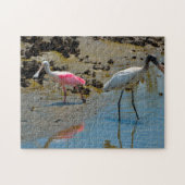 Spoon Bill Wood Stork Florida Legpuzzel (Horizontaal)
