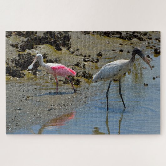 Spoon Bill Wood Stork Florida Legpuzzel (Horizontaal)