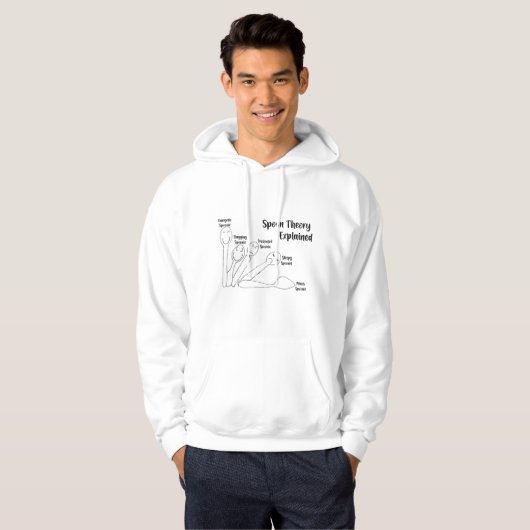 Spoon Theory uitgelegd Hoodie (Voorkant volledig)