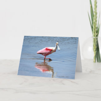 Spoonbill-5-05 Kaart