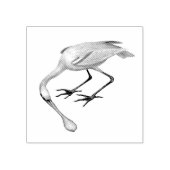 Spoonbill Birds  illustraties Rubberstempel (Afrduk)