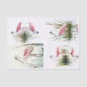 Spoonbill Collage 2 Decoupage Papier (Voorkant)